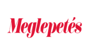 Média logó – 13