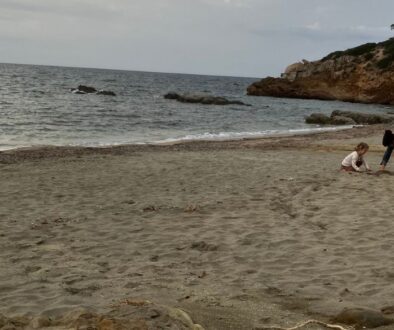 szarrdínia hulladékmentes